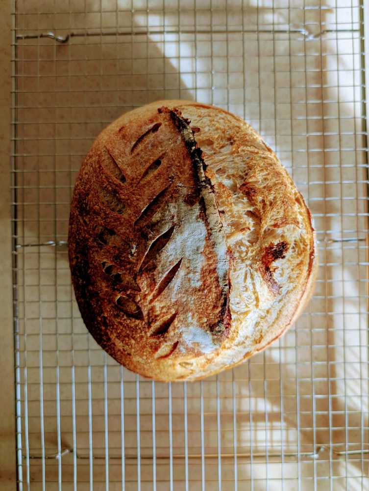 The same loaf from before after baking. It's golden and has a nice tall rise.
