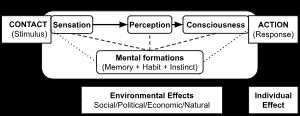 A model of the skandhas as signal processing elements
