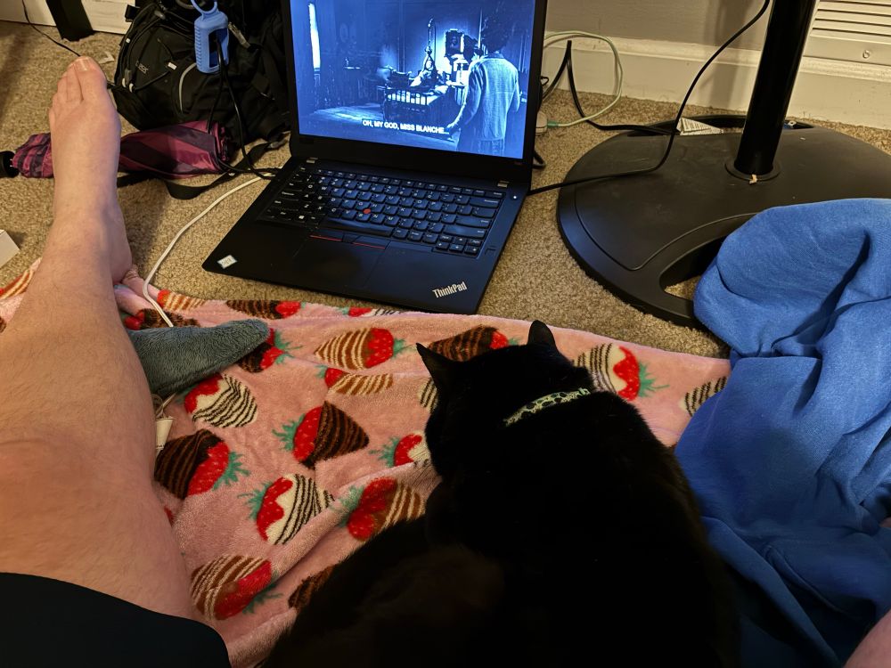 A black cat wearing a light blue collar with dark blue and white fish is curled up on a pink blanket with a pattern consisting of chocolate-covered strawberries. The cat is between Jake’s legs. One of Jake’s legs is visible. Jake and the cat are facing a laptop with What Ever Happened to Baby Jane? playing on it. 