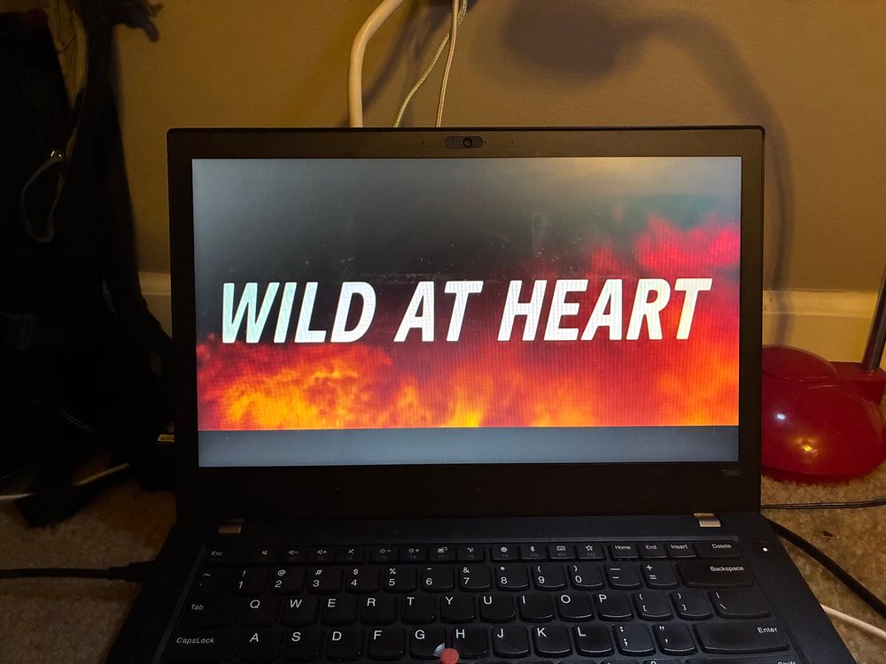 A picture of a laptop screen with the title card of David Lynch’s Wild at Heart. 