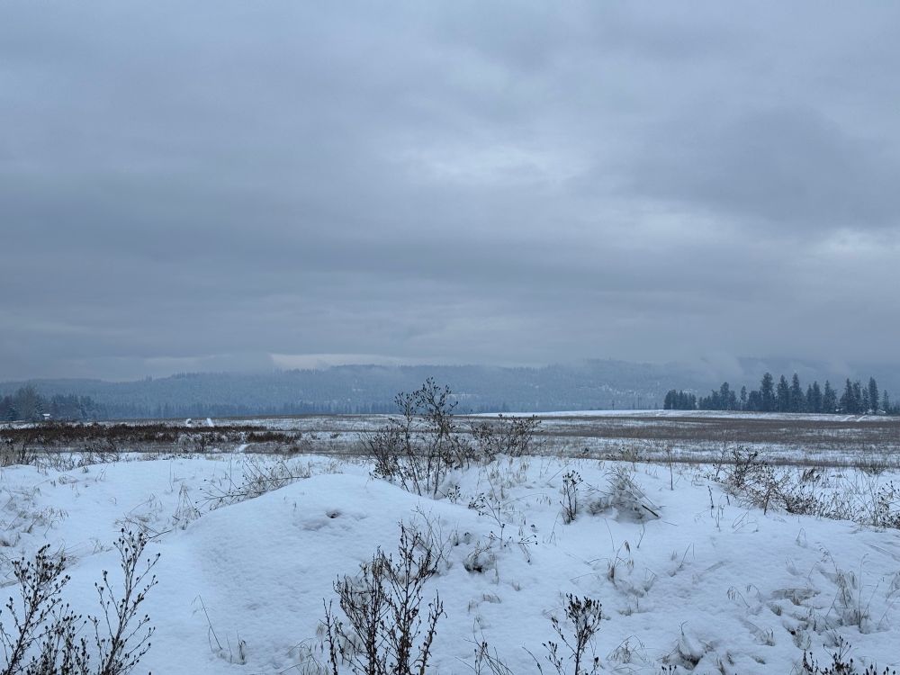 End of the road this morning.
