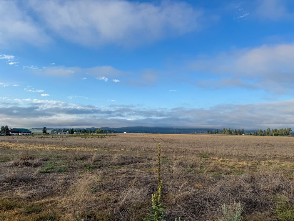 Blue sky and light clouds over the prairie, Coeur d'Alene, Idaho.