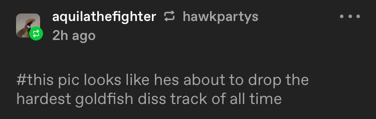 Tumblr tag comment from user aquilathefighter: “this pic looks like he’s about to drop the hardest goldfish diss track of all time”