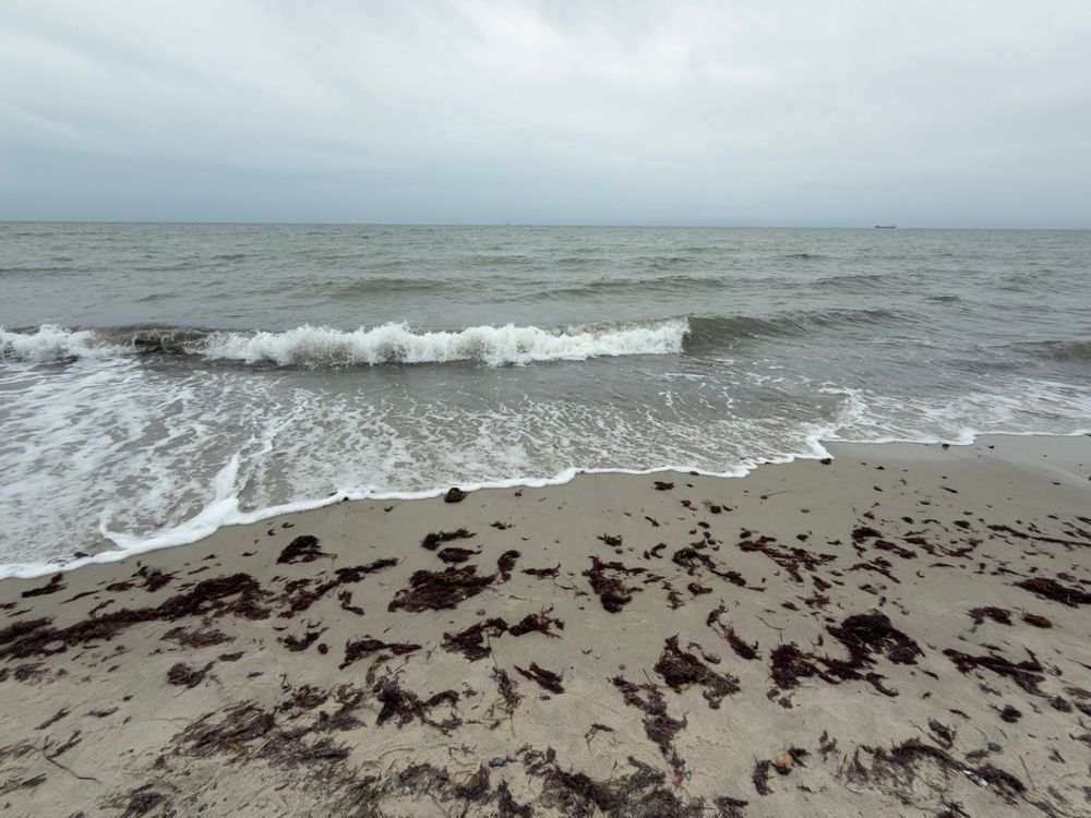 A cloudy shoreline scene featuring gentle ocean waves lapping against a sandy beach, scattered with seaweed. The horizon shows a distant ship on the water.