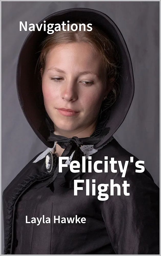 Cover of Felicity's Flight, by Layla Hawke. 