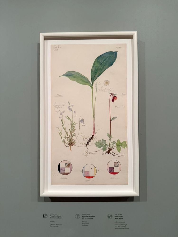 Drawings of three plants + roots, with three circular diagrams below / Vere I a 1919
75า9
Dagala oulgauis
Jungrulin
RileTlinen
JUNE 1 193
Polygala vulgaris
Common milkwort
Caution Accuracy
Tact Accuracy
10/ 1919
alickonvalie
Convallaria majalis.
Seum sisale
detal,
22
RileT linin
Convallaria majalis
Lily of the valley
Silence
Innocence
Strength
JUNE 11, 1919
Geum rivale
Water avens
Submissiveness is acquired through Tact and Accuracy
Humility and Accuracy