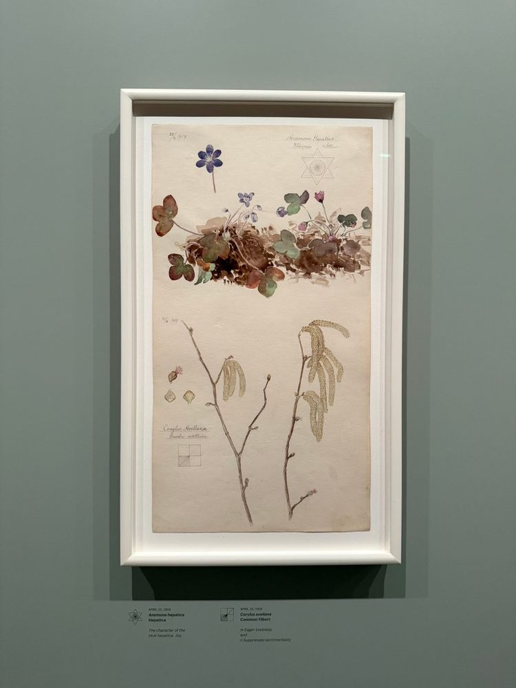Darwings of plants 224, 1919
chamone Hepatica
Blasprant
rilettin
orylus Avellana
aselus pilotlinies
APRIL 26.1919
Anemone nepalica
Hepatica
The character of the
DIe AePdUCe. JOr
APRIL 237913
Corylus avellana
Common filbert
m carer lveliness
and
n Suppressed sentimentality