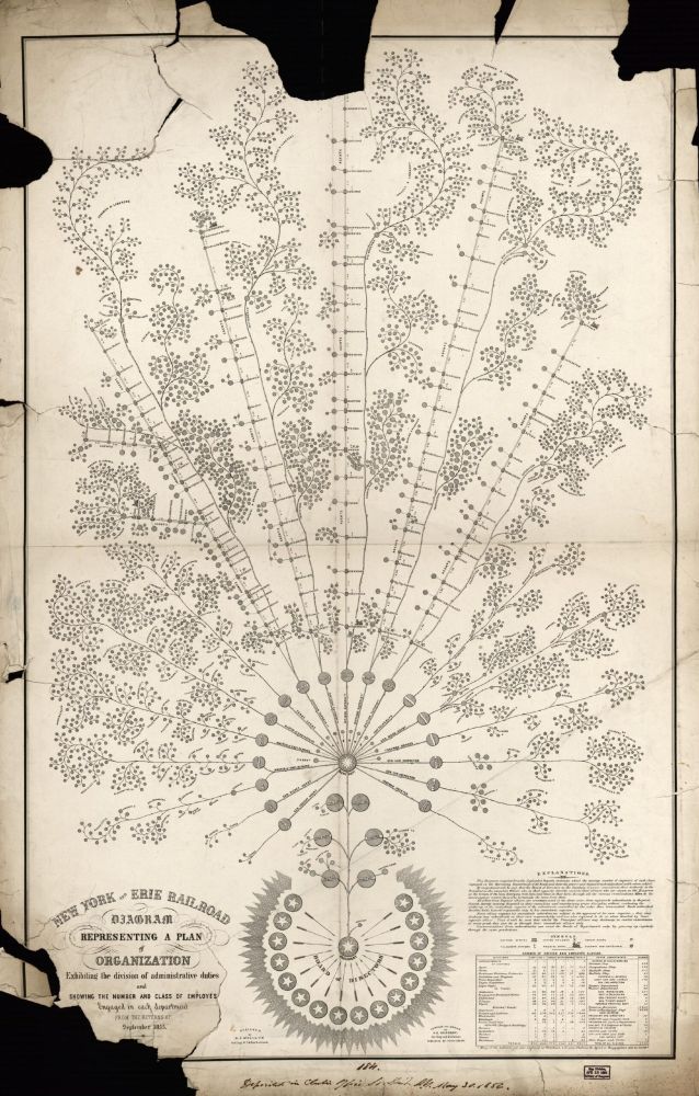A organizational chart with two circles at the bottom and multiple branches extending from them at the top