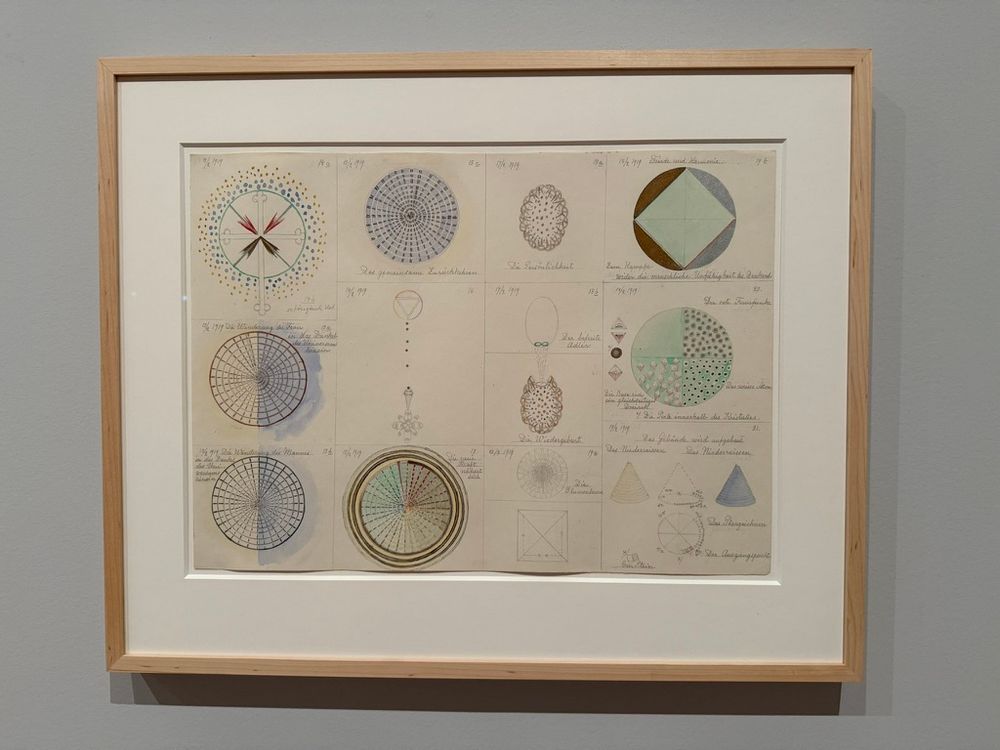 Various circular graphs + diagrams 