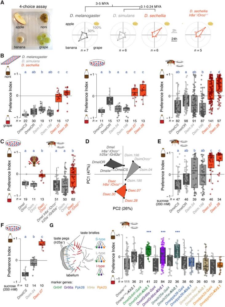 Evolution of taste processing shifts dietary preference - preLights