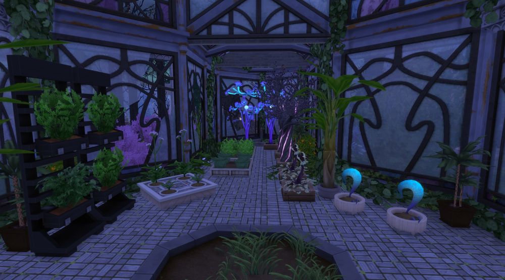 One view of the greenhouse showing plants the shop uses and sells.