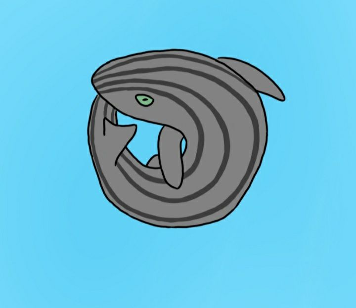 A (colored) doodle of a pyjama shark (Poroderma africanum).
The shark is curled up into a ball in a blue background