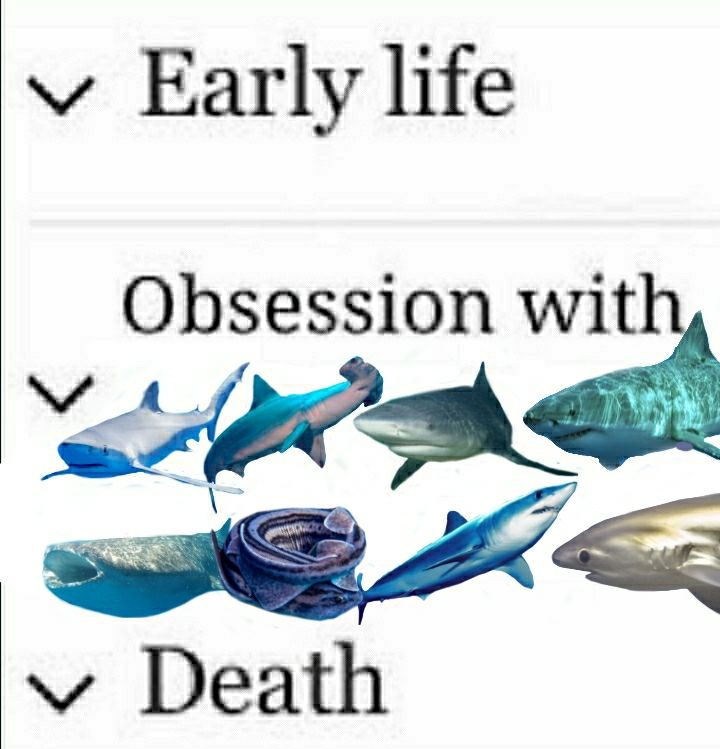 The "early life, obsession with" meme with sharks.

The image shows a wikipedia page with three options: "early life, obsession with, death". Under the "obsession with" button there are 8 sharks, blue shark, scalloped hammerhead, bull shark, great white, whale shark, pyjama shark, shortfin mako and Pelagic thresher (the species selections are kinda random, I'd add all sharks if I could lol)