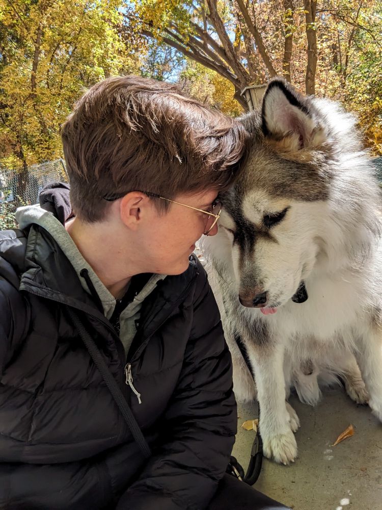 light skinned person with short light brown hair wearing  a black jacket sitting on the ground and touching foreheads with an Alaskan malamute dog. In the background are trees with bright yellow fall leaves.