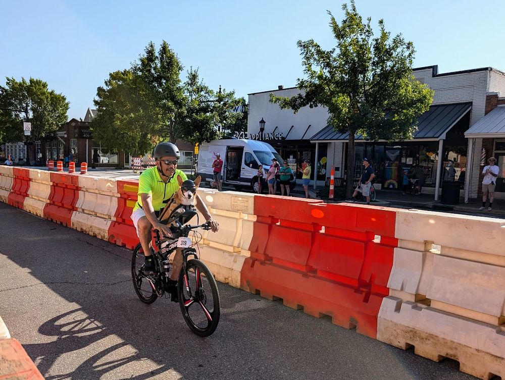 A man rides his bicycle along a line of barricades with a corgi dog companion secured in a special mounted seat. The dog is wearing goggles and a matching helmet.