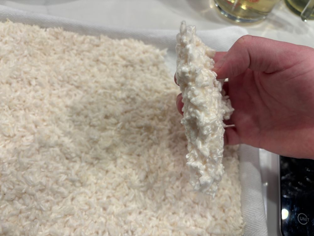 Cake of rice koji