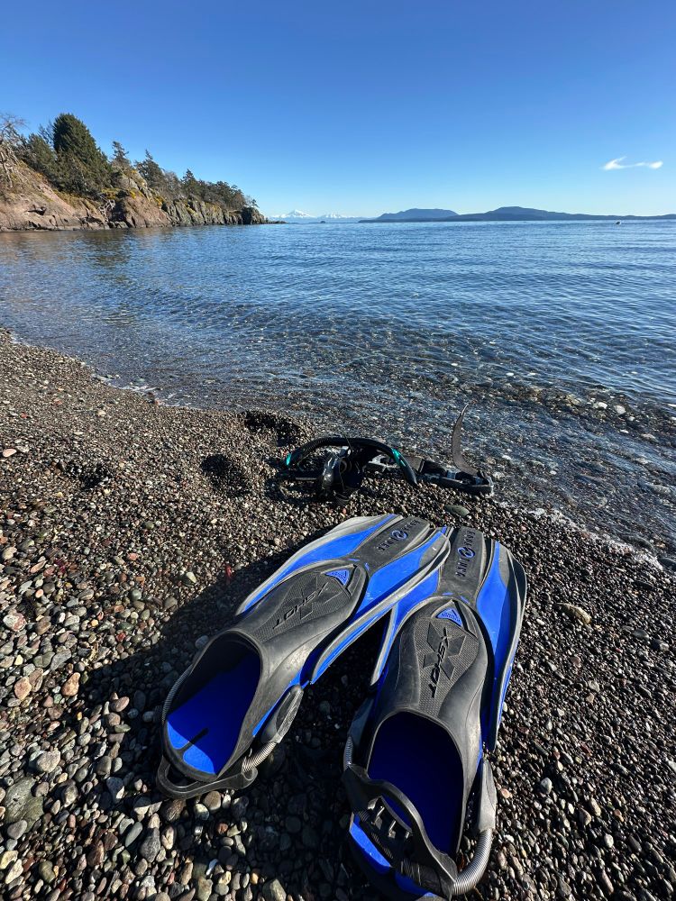 A pair of snorkelling fins near the edge of the water on a pebbly beach. The ocean is calm and the sky is blue. On the distant horizon are other islands and a snow capped Mt.Baker. Near the fins are a snorkel and mask. 