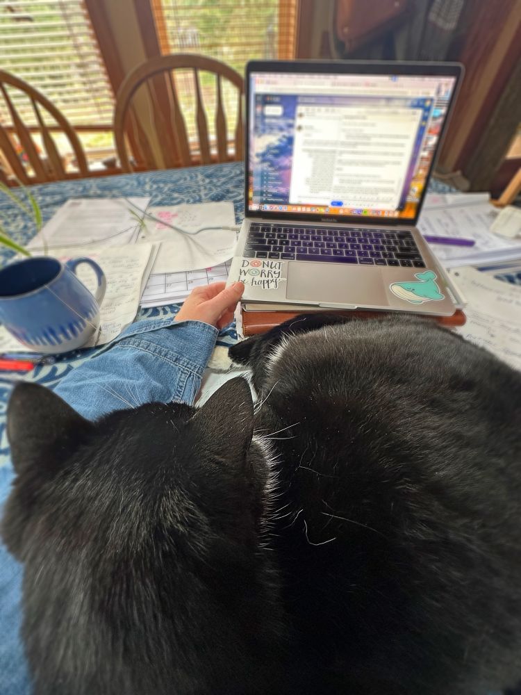 Black and white cat is contentedly curled up on the table, directly on top of Joanne’s workspace and paperwork is strewn everywhere. Cat is also blocking Joanne’s use of the opened laptop. The cat is owning all the space! 