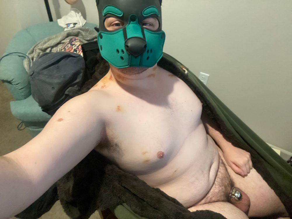 A pup with a black and hunter green hood. They have bruises on their neck and shoulders from where they got bit. Their dick is caged, and their balls are full
