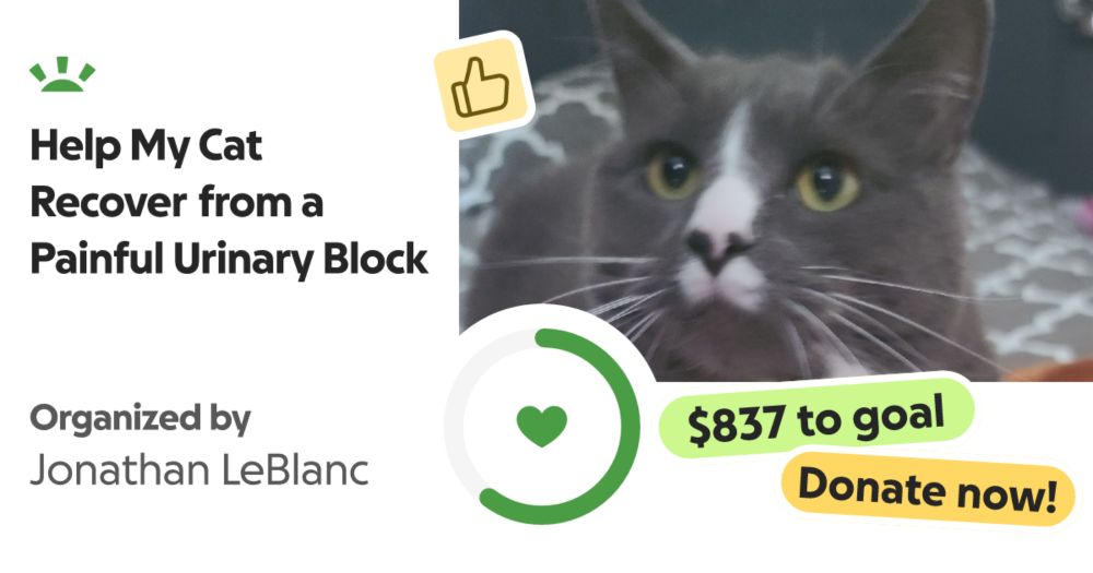 Hello, my name is Jon, and I’m reaching out to ask for help with une… Jonathan LeBlanc needs your support for Help My Cat Recover from a Painful Urinary Block