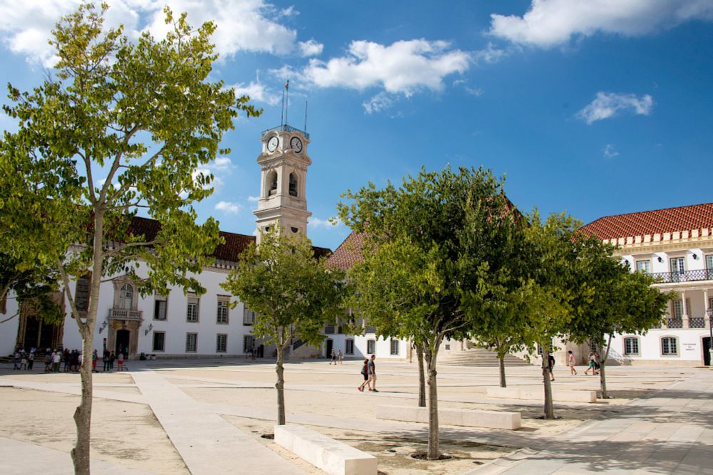 9.7 million euros for projects of the University of Coimbra to boost four research areas in Portugal