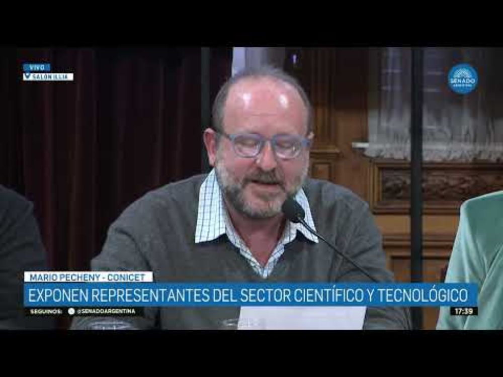 MARIO PECHENY - COMISIÓN DE CIENCIA Y TECNOLOGÍA 04-06-25