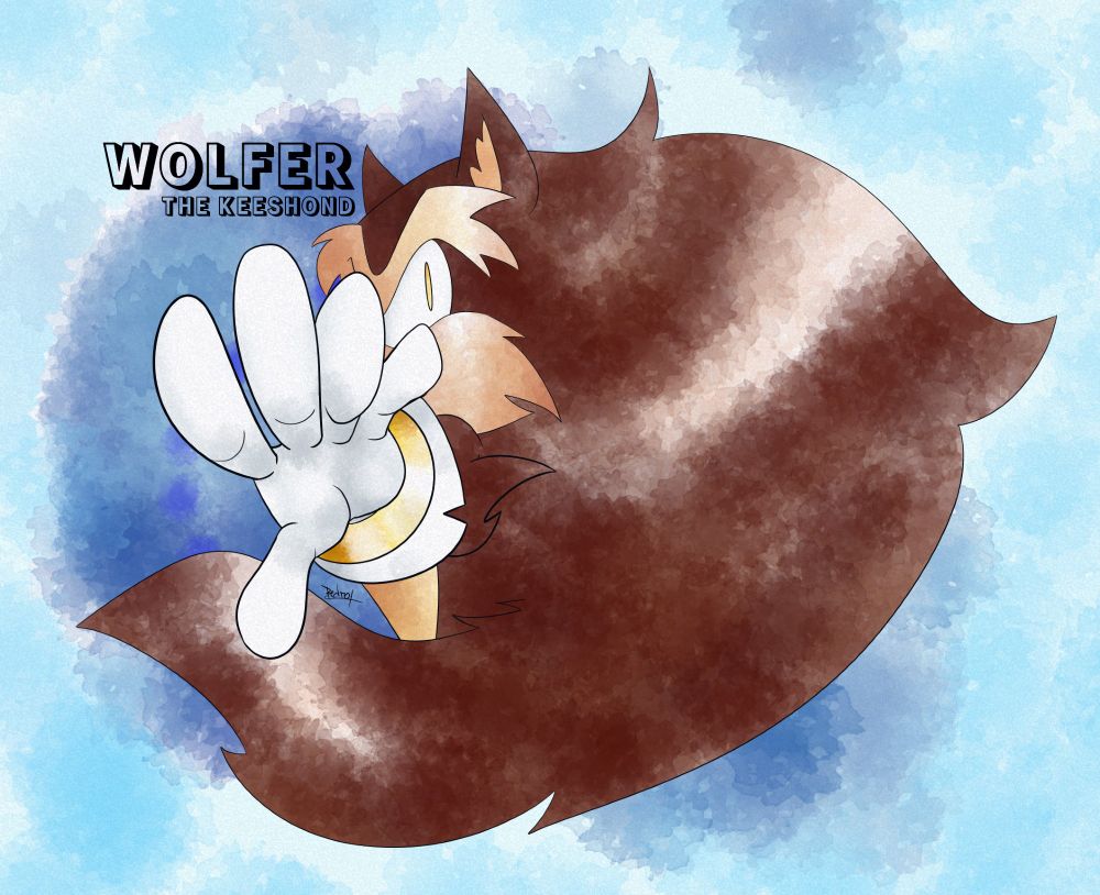 Wolfer the Keeshond, timid and powerful