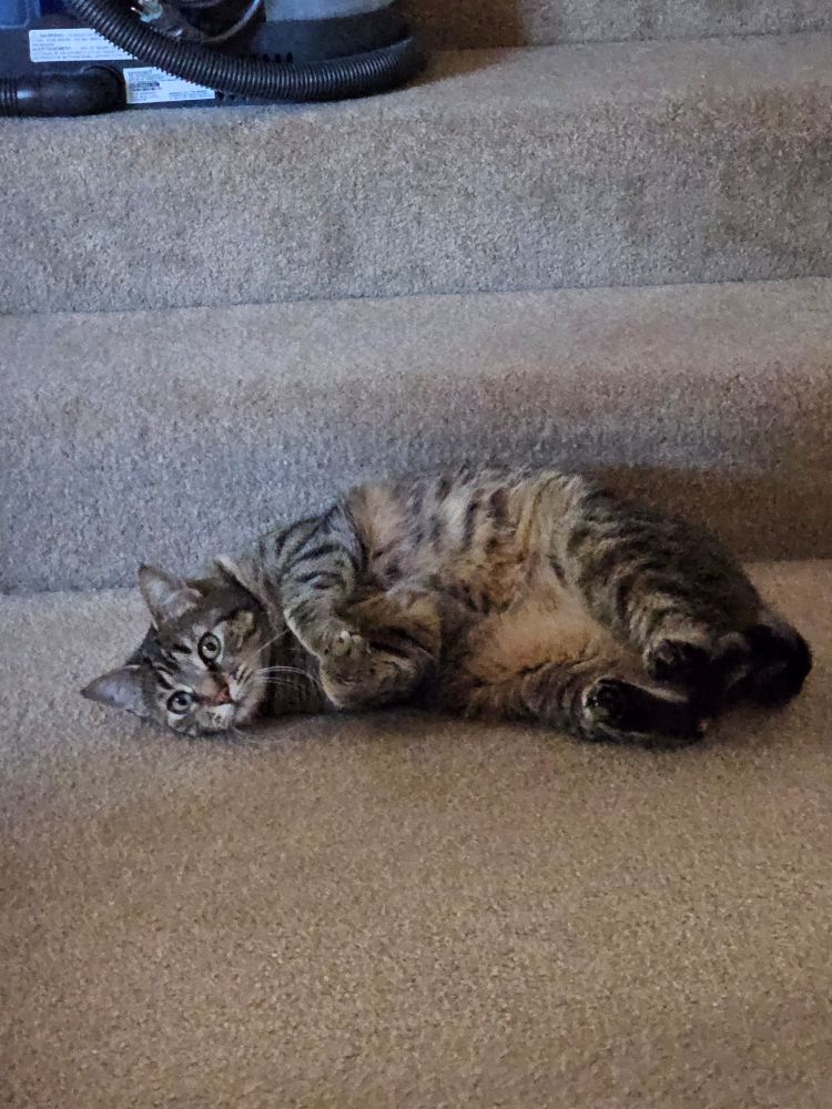 Vash after I called her name and she flipped around. 