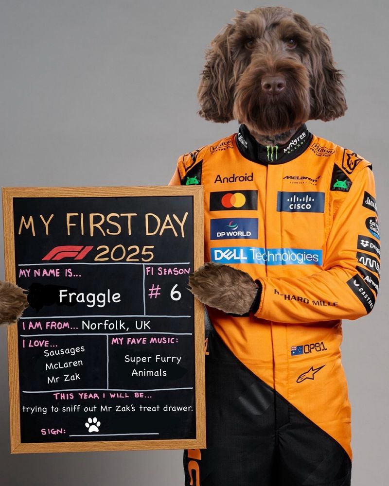 Handsome dog in McLaren race suit holding up chalk board with information about themself. 