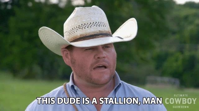 a man in a cowboy hat is saying this dude is a stallion man cowboy