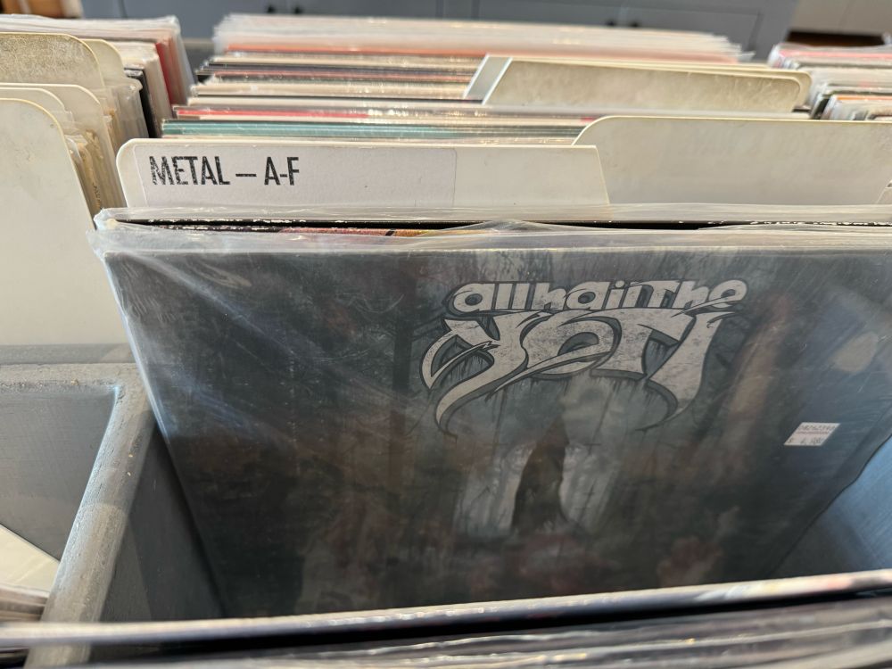 Picture of a plastic divider in a record store bin that reads: METAL A-F