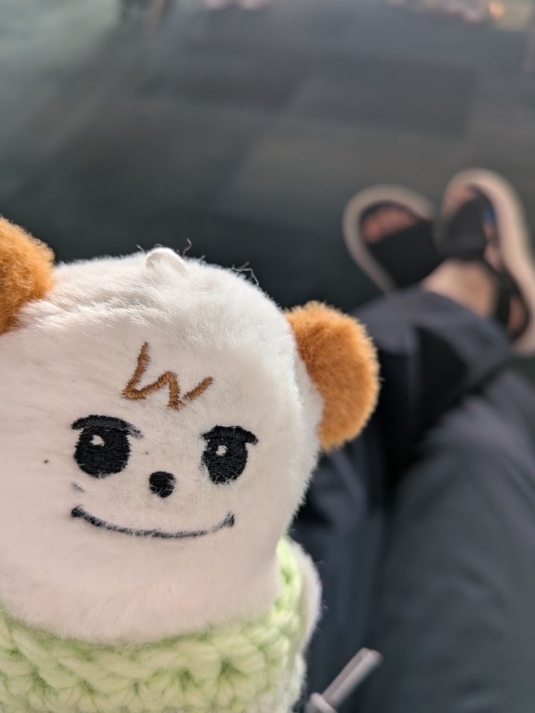 チョギュメという名前の犬を模したぬいぐるみがこちらをみている写真