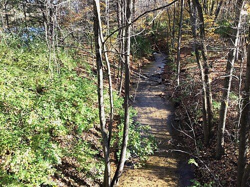 picture of Rockford, Michigan