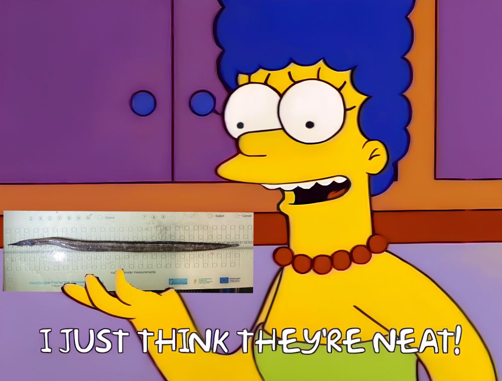Marge simpson holding a ~30cm Nessorhamphus ingolfianus. She is saying "I just think they're neat!"