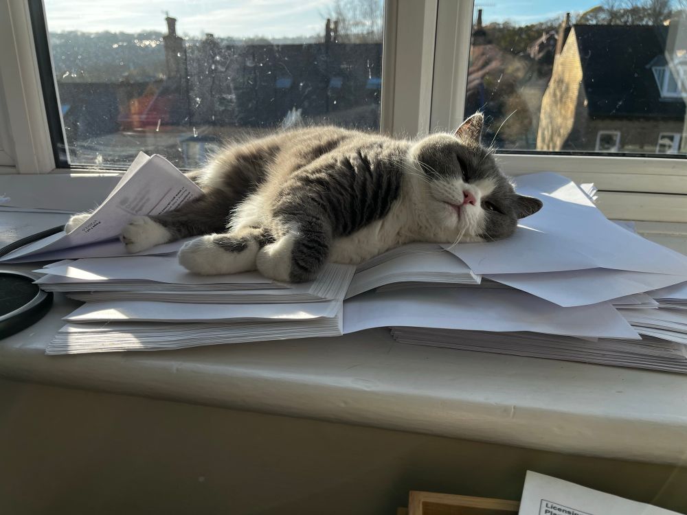 A fluffy grey and white cat crashed out on a pile of papers on a sunny windowsill 