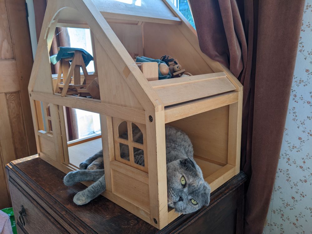 My cat Junie lying in the bottom floor of a wooden dolls' house, she looks happy