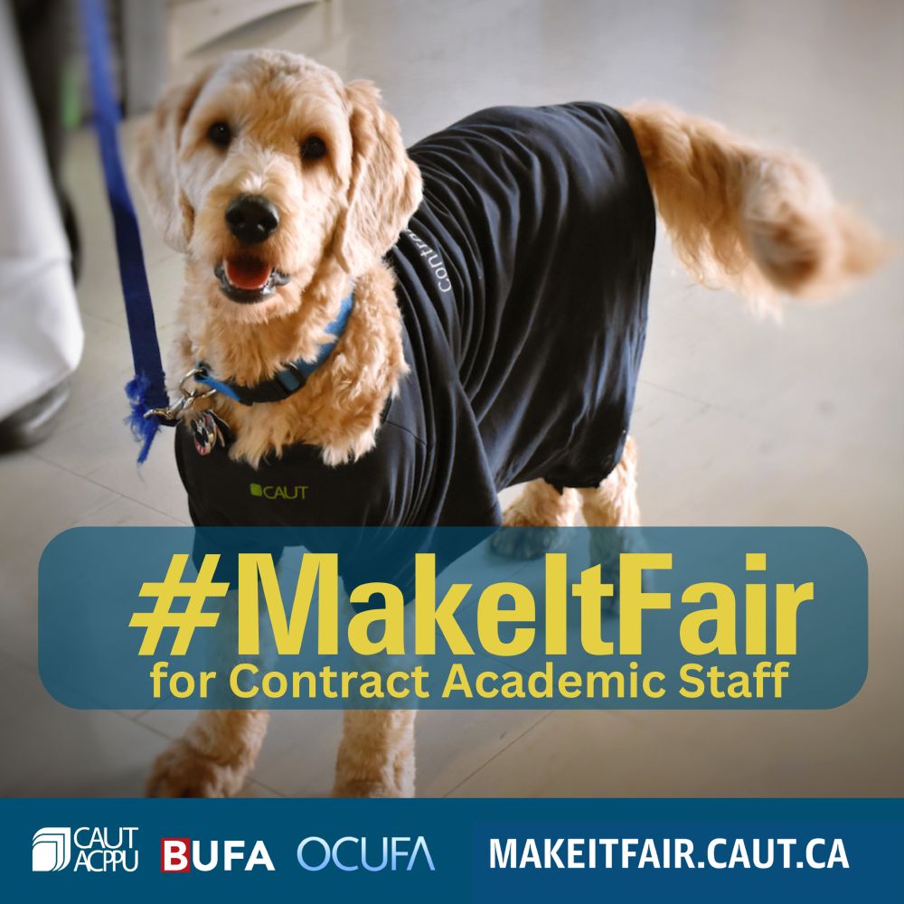 #MAKEITFAIR for Contract Academic Staff. A photo of Paddy, who is a golden doodle wearing a @CAUT t-shirt.