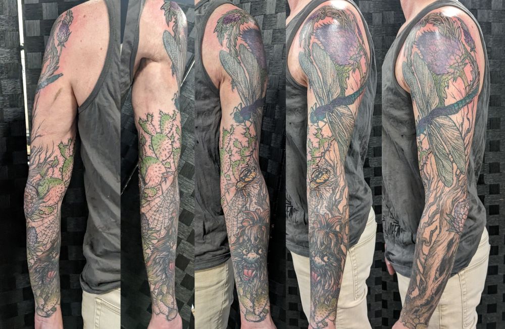 a tattoo sleeve in a series of photos. there's thistle, a large dragonfly, cactus, a tree trunk, a garden spider and a funky creature at the bottom