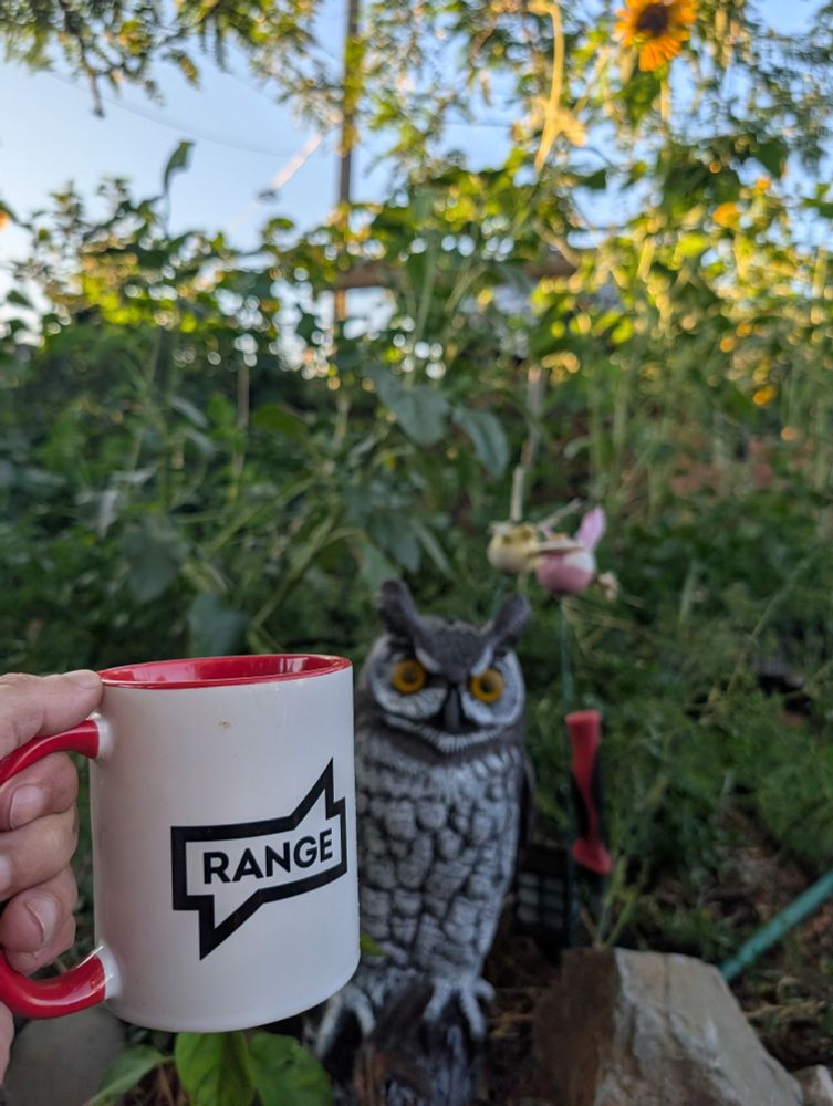 a hand holding a mug that says 
