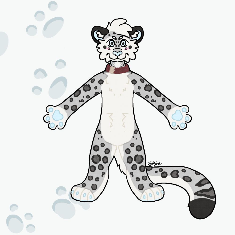 anthro snow leopard with collar, standing straight with arms and legs out. white background with paw prints on the left.