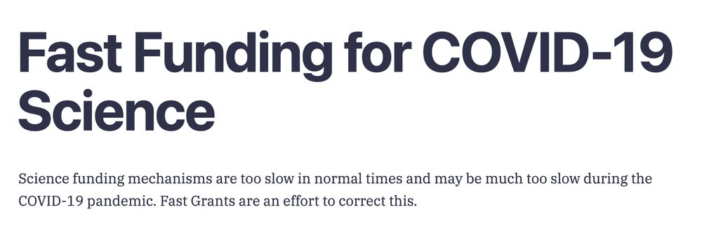 Headline: Fast Funding for COVID-19 Science