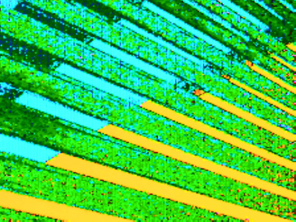 #glitchart #glitch #art #glitchcore #digitalart

photo made on circuit-bent camera