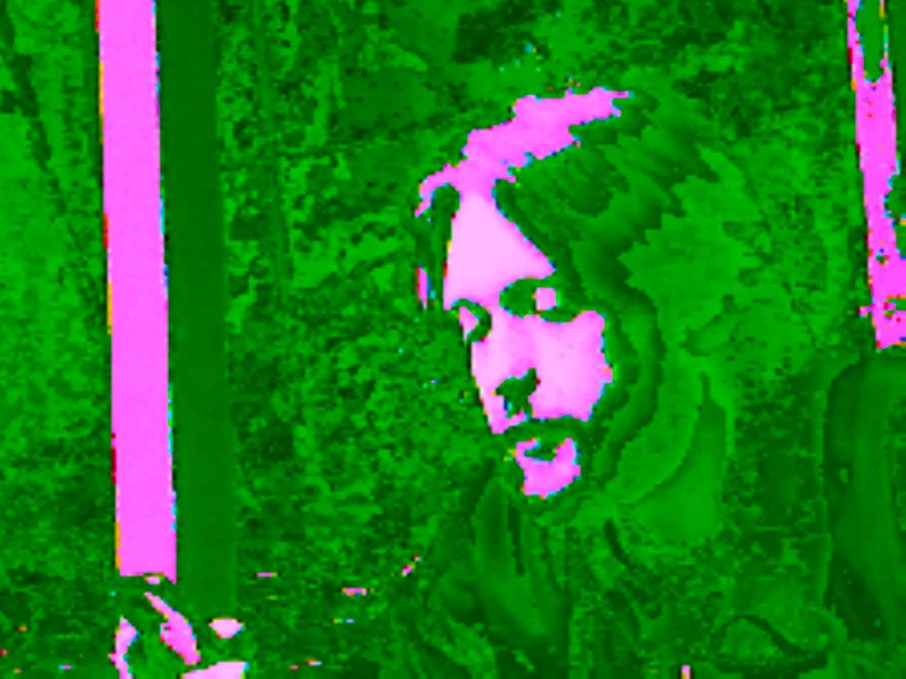 #glitchart #glitch #art #glitchcore #digitalart

portrait photo made on circuit-bent camera