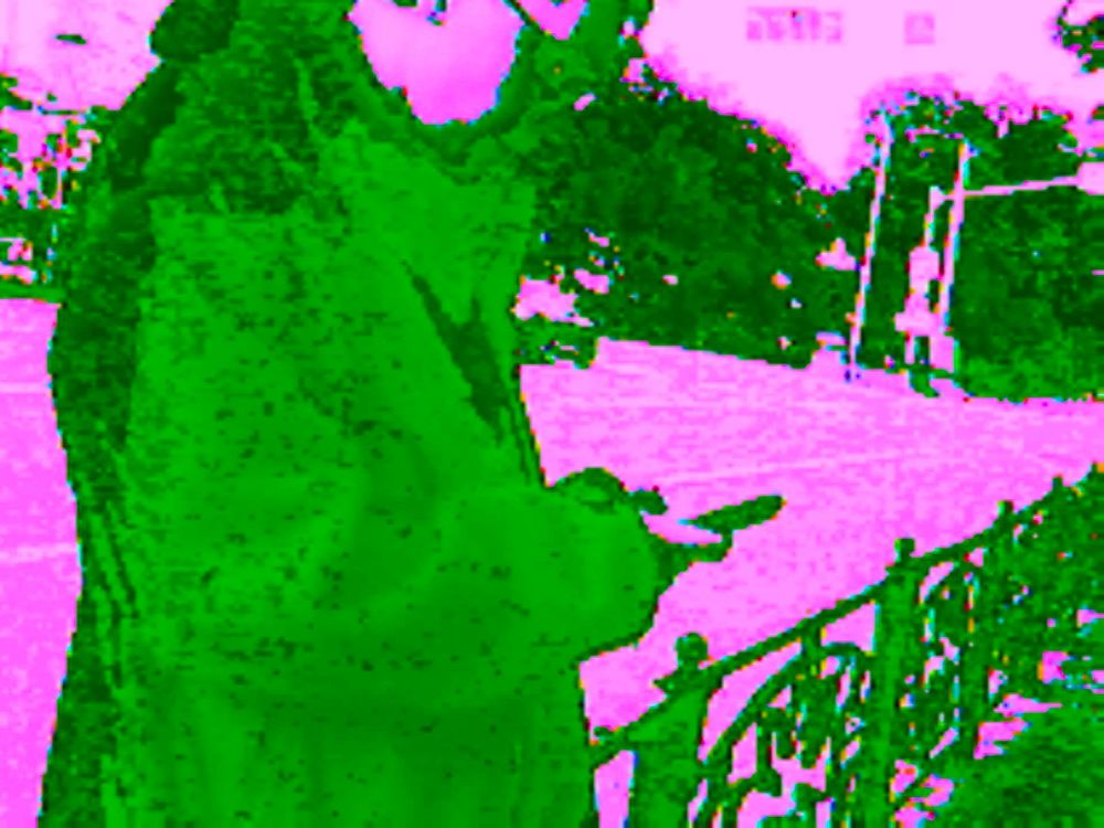 #glitchart #glitch #art #glitchcore #digitalart

photo made on circuit-bent camera