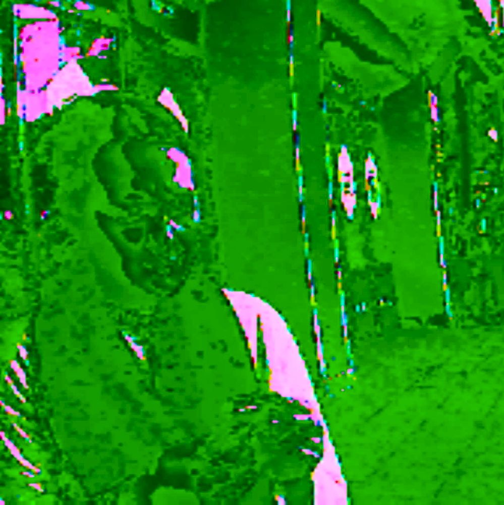 #glitchart #glitch #art #glitchcore #digitalart

portrait photo made on circuit-bent camera