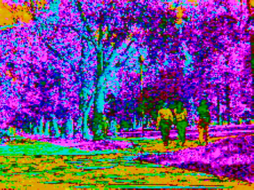 #glitchart #glitch #art #glitchcore #digitalart

scenery photo made on circuit-bent camera