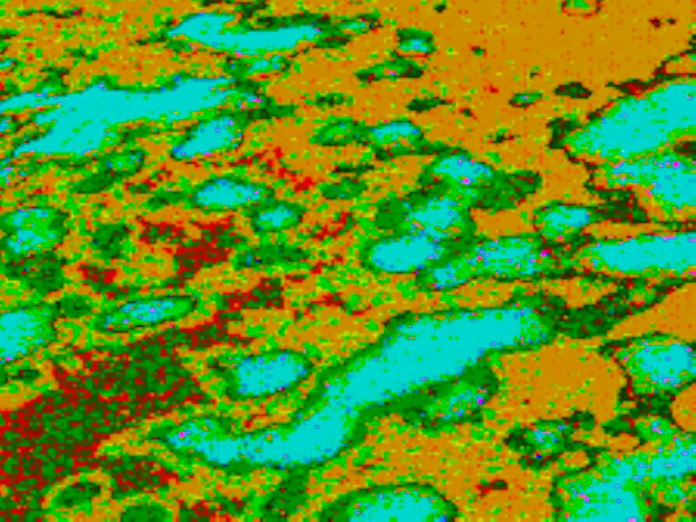 #glitchart #glitch #art #glitchcore #digitalart

abstract photo made on circuit-bent camera