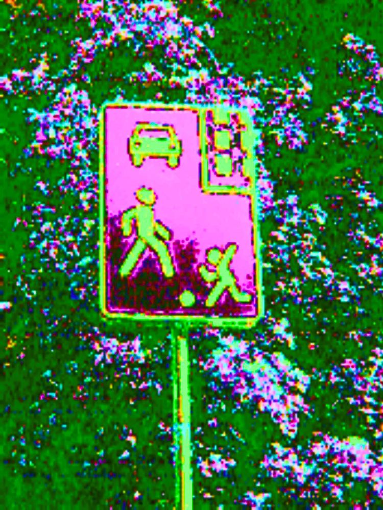 #glitchart #glitch #art #glitchcore #digitalart

scenery photo made on circuit-bent camera