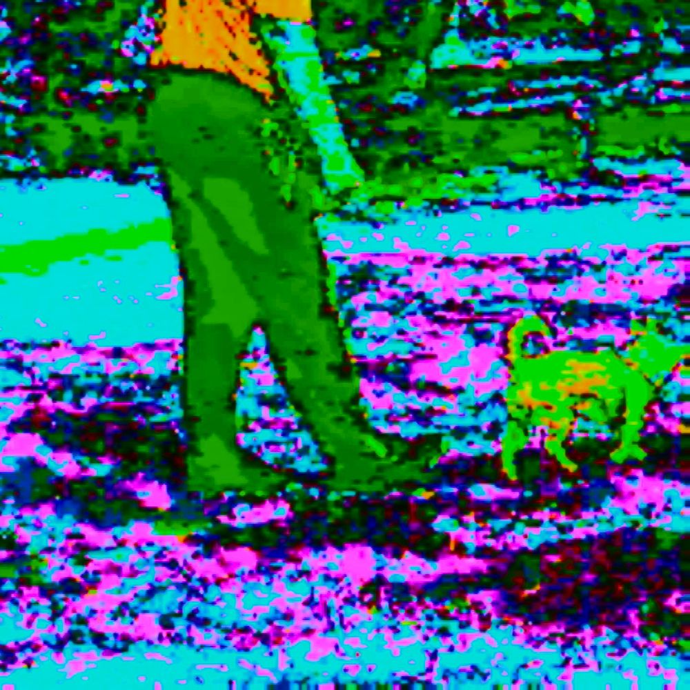 #glitchart #glitch #art #glitchcore #digitalart

photo made on circuit-bent camera