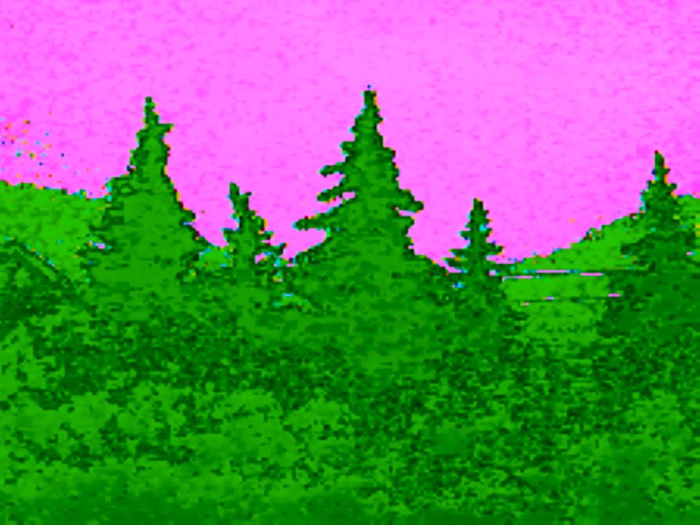 #glitchart #glitch #art #glitchcore #digitalart

scenery photo made on circuit-bent camera